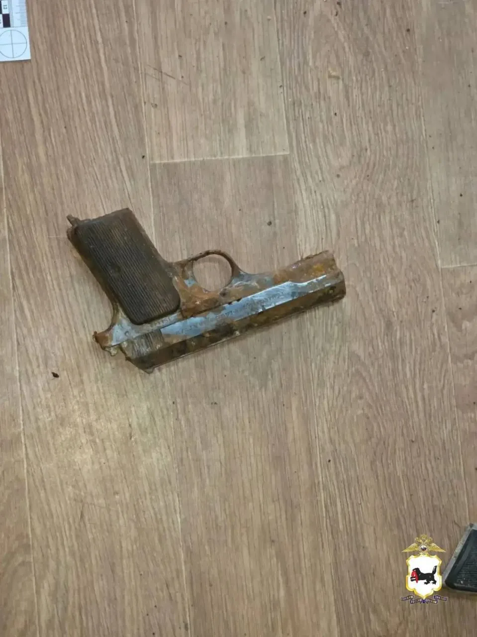 Гараж с сюрпризом: в Братске под полом нашли гранаты, пистолеты и тротил