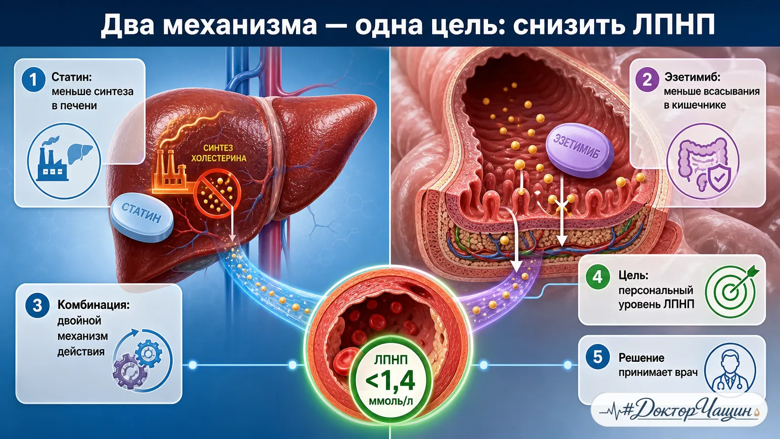 💊 Миф: второй препарат назначают, когда статин «не справился»