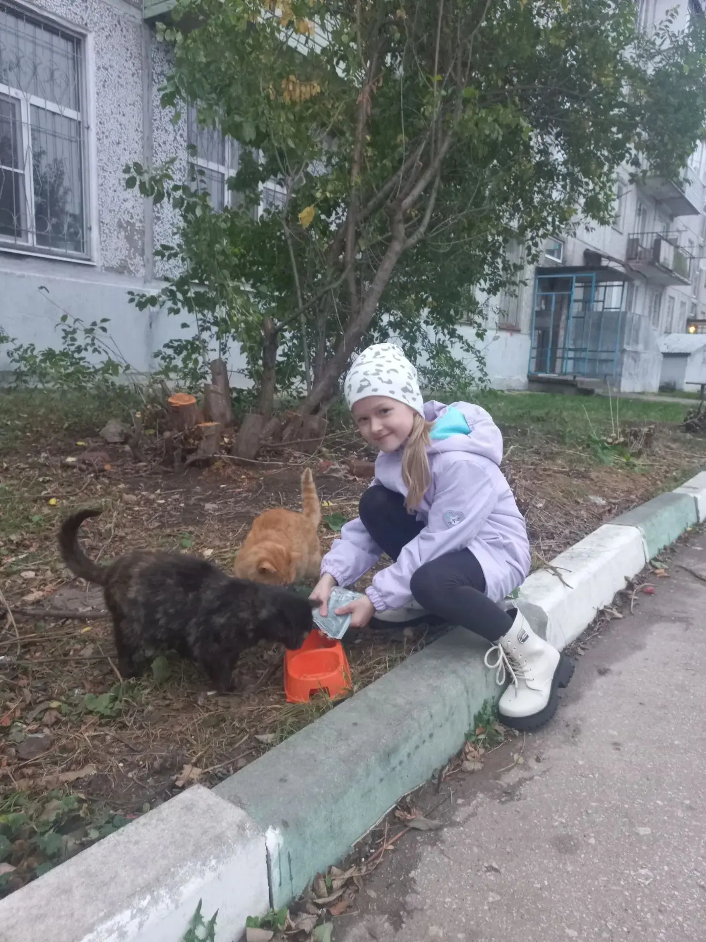 Локшина Полина, ученица 2б класса, принимает участие в акции "Осенняя неделя добра".
