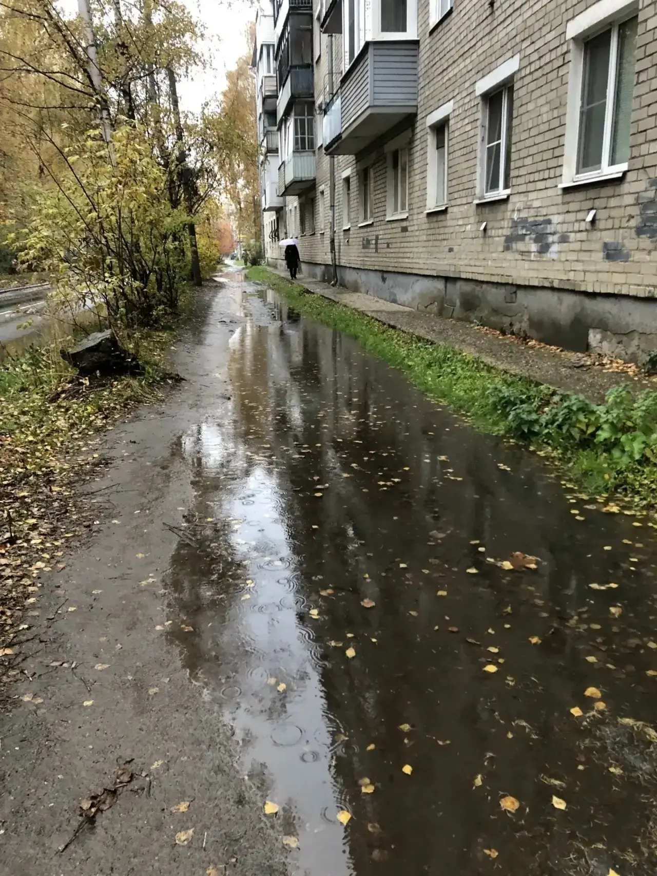 Дети в школу номер 78 не идут , а плывут….