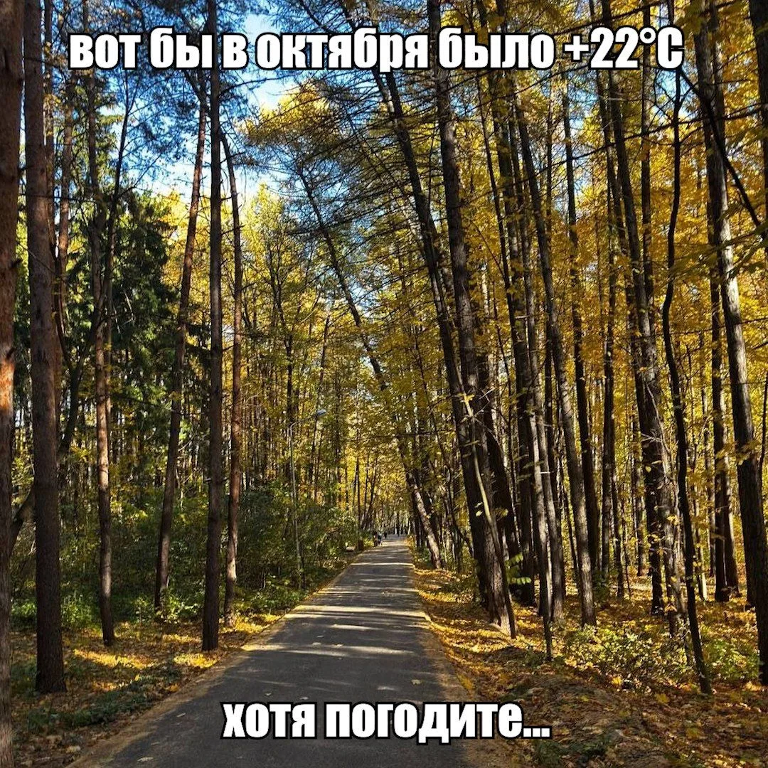 Температурный рекорд побит в Уфе — вчера в городе было +22,3°С.