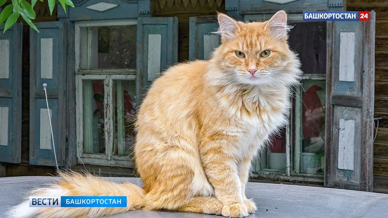 В ближайшие два дня в Башкирии ожидается повышение температуры до +22 градусов