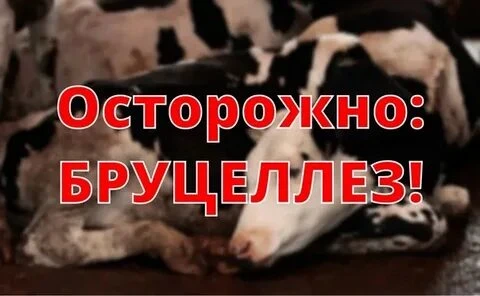 Уважаемые жители села Татарка!