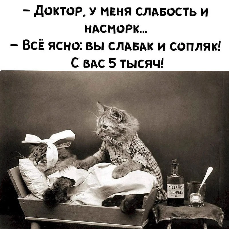 🎃 Весело у нас 🧨