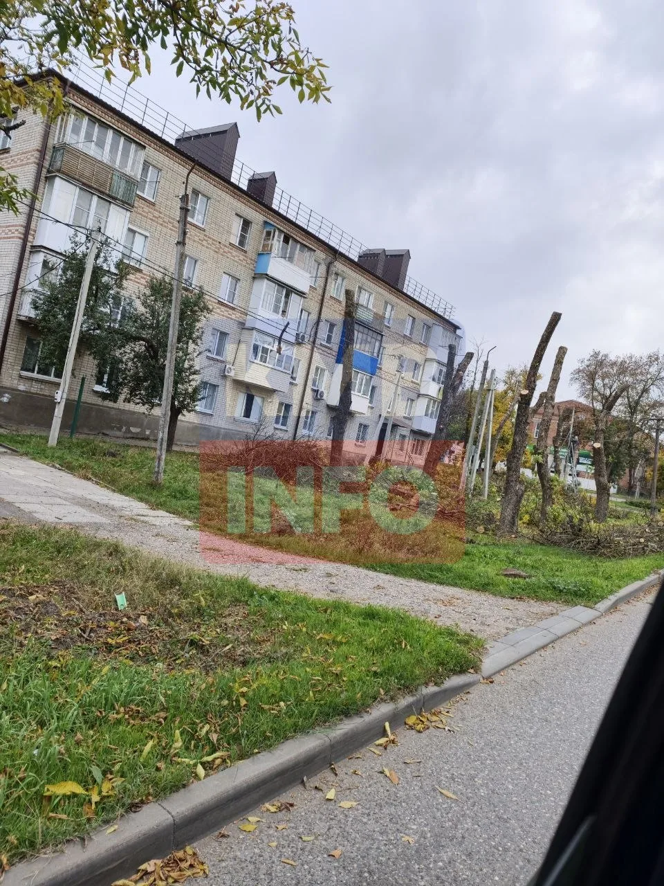 → Вот такой "листопад" на углу улиц Гагарина - Лермонтова. — #народныйрепортер
