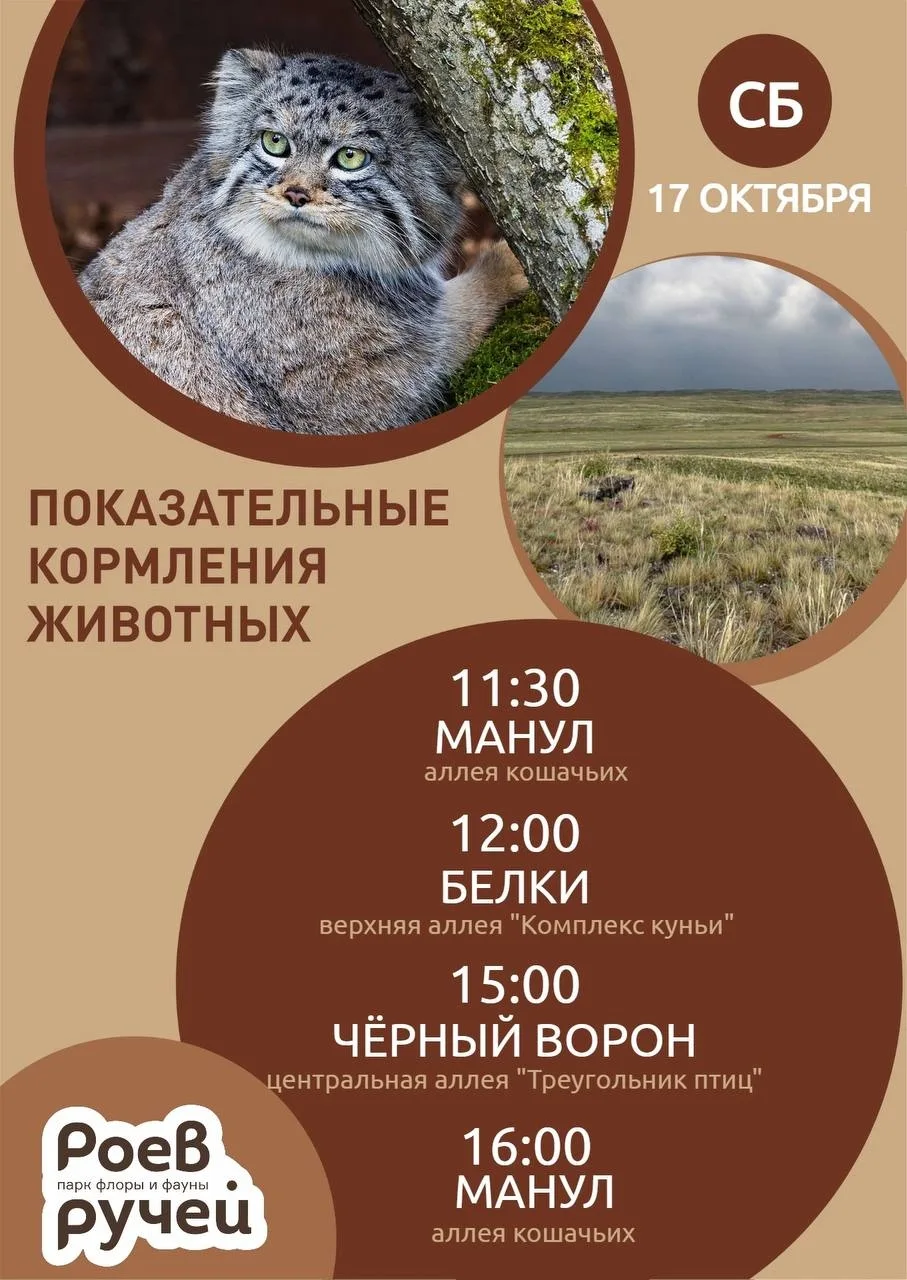 Расписание показательных кормлений в парке "Роев ручей"