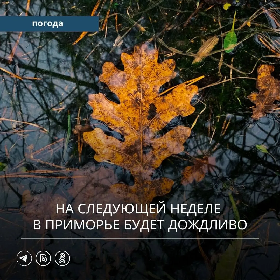 🌤️ Начало следующей недели в Приморском крае будет относительно тёплым, но уже со втор...