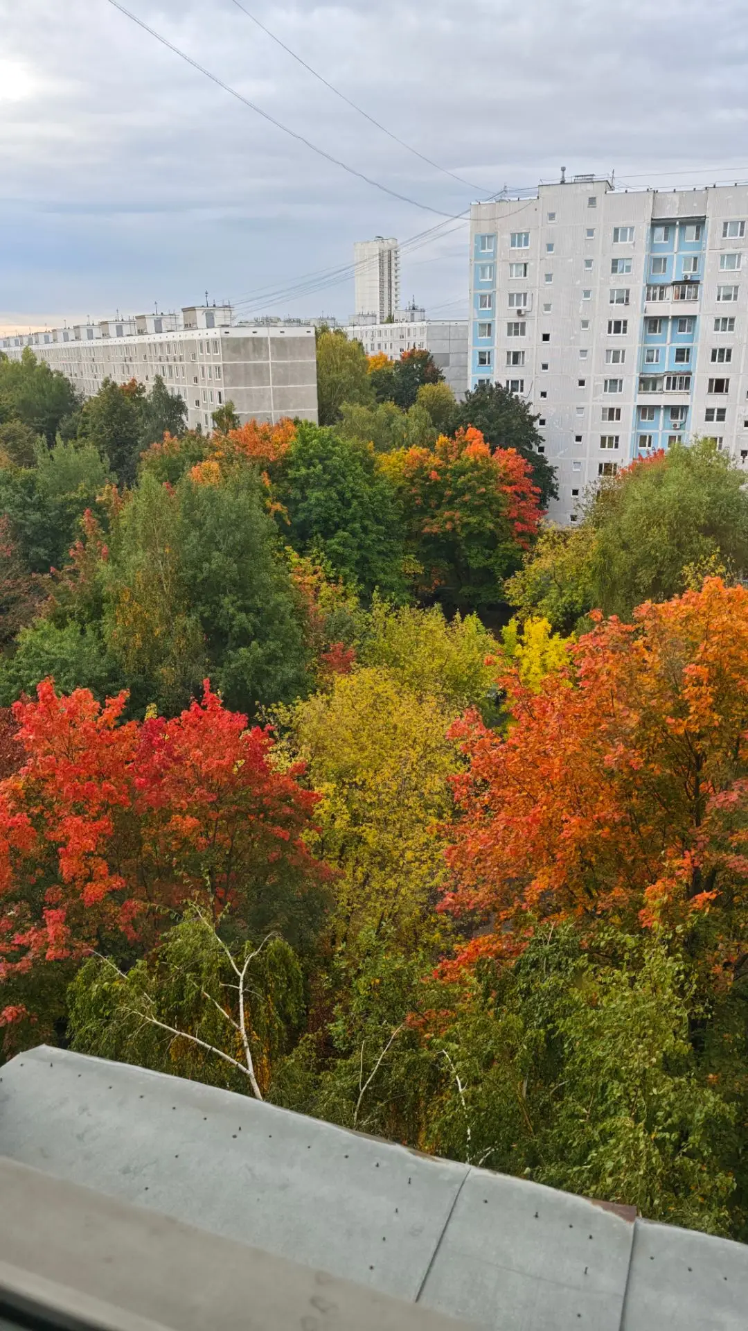 Осень на дворе 🍁