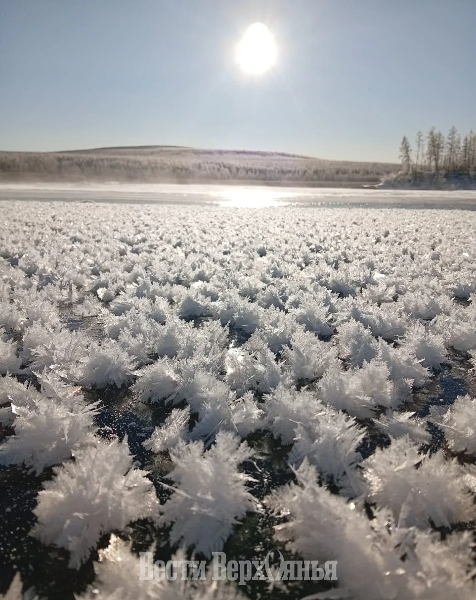 ❄️ Ледяные цветы на Яне