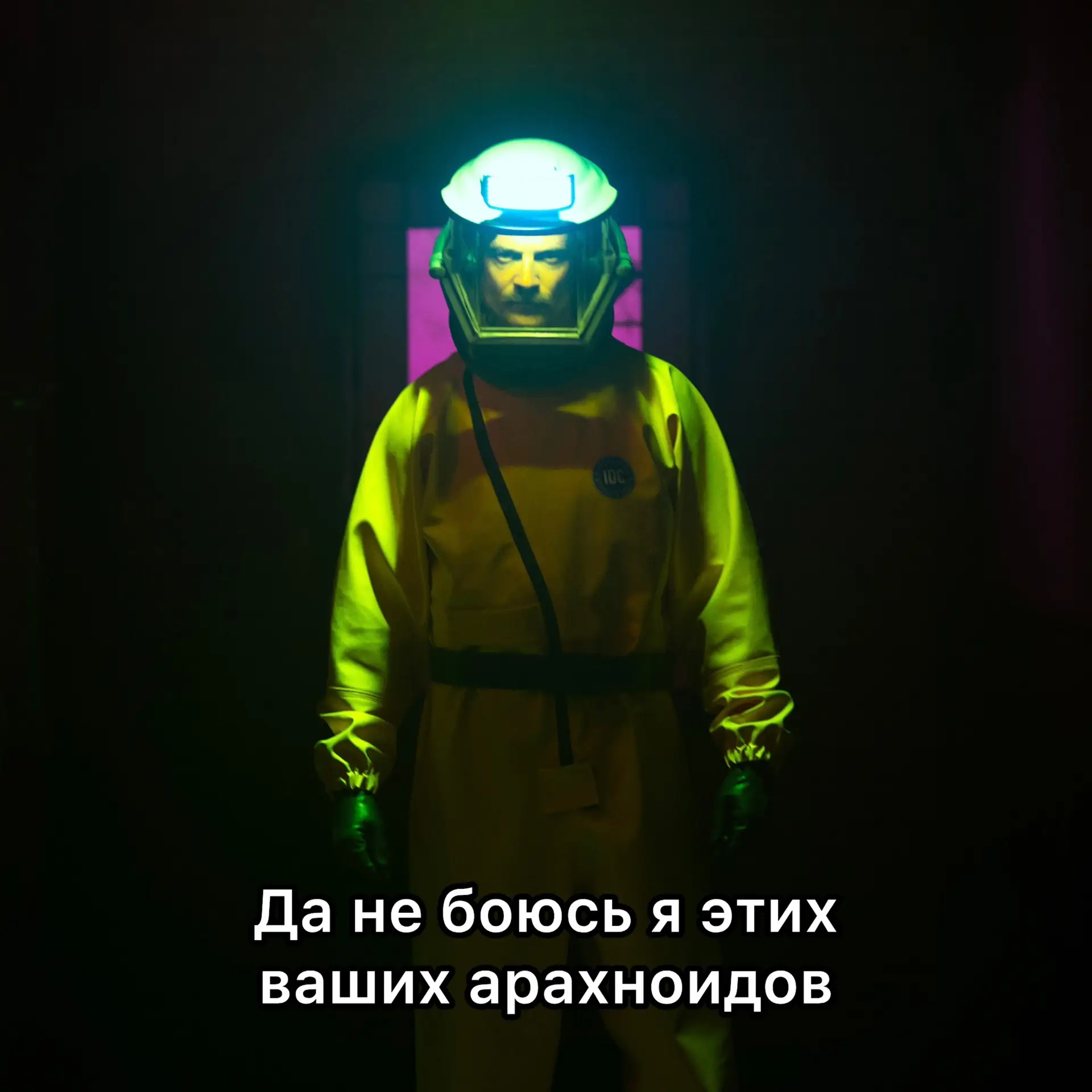 Как админ выглядит в следующую же минуту после того, как заметил паучка в углу комнаты 🕷