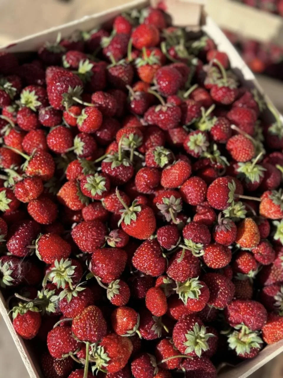 🔥🔥🍓🍓Нижневартовск! Новое поступление ягод!🍓🍓🔥🔥