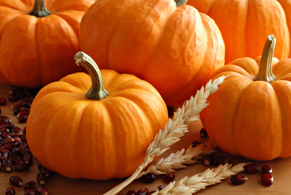 🎃 Тыква в закусках, выпечке и заготовках: рецепты на весь сезон