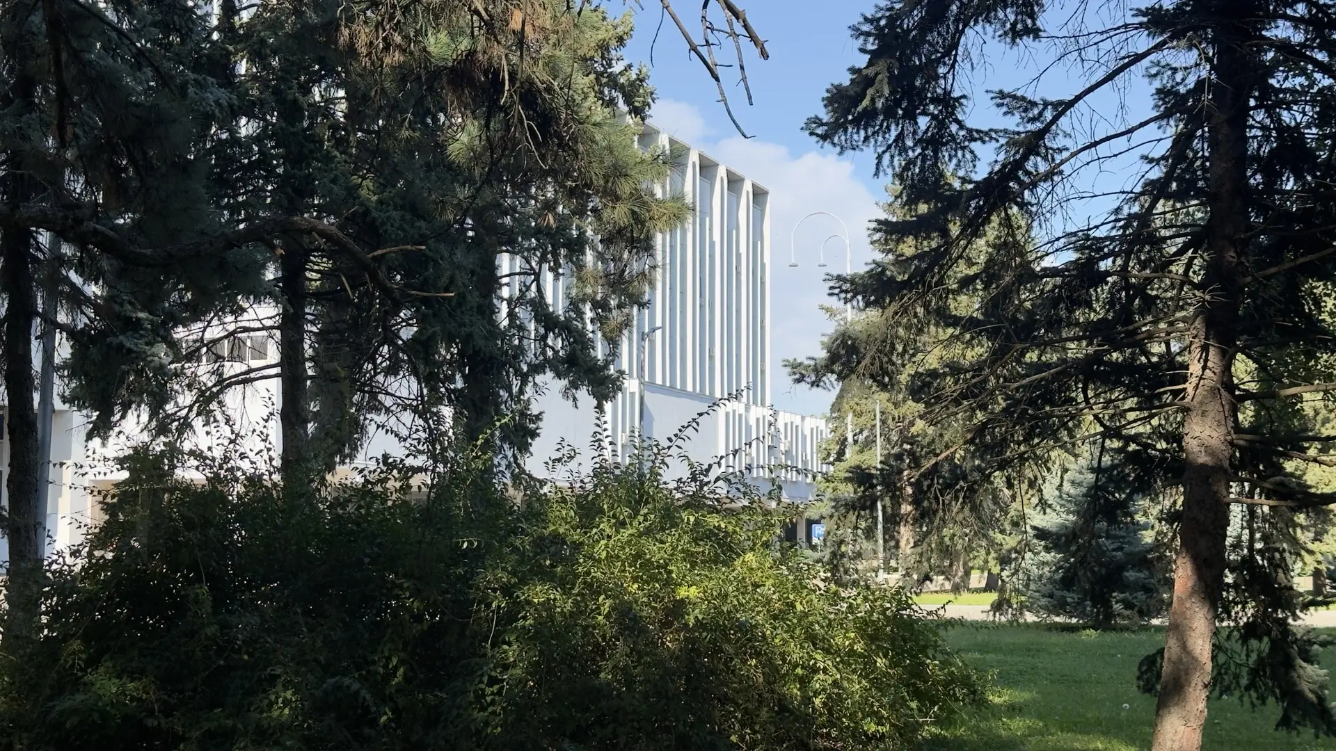 ☀️ У погоды сегодня отличное настроение!