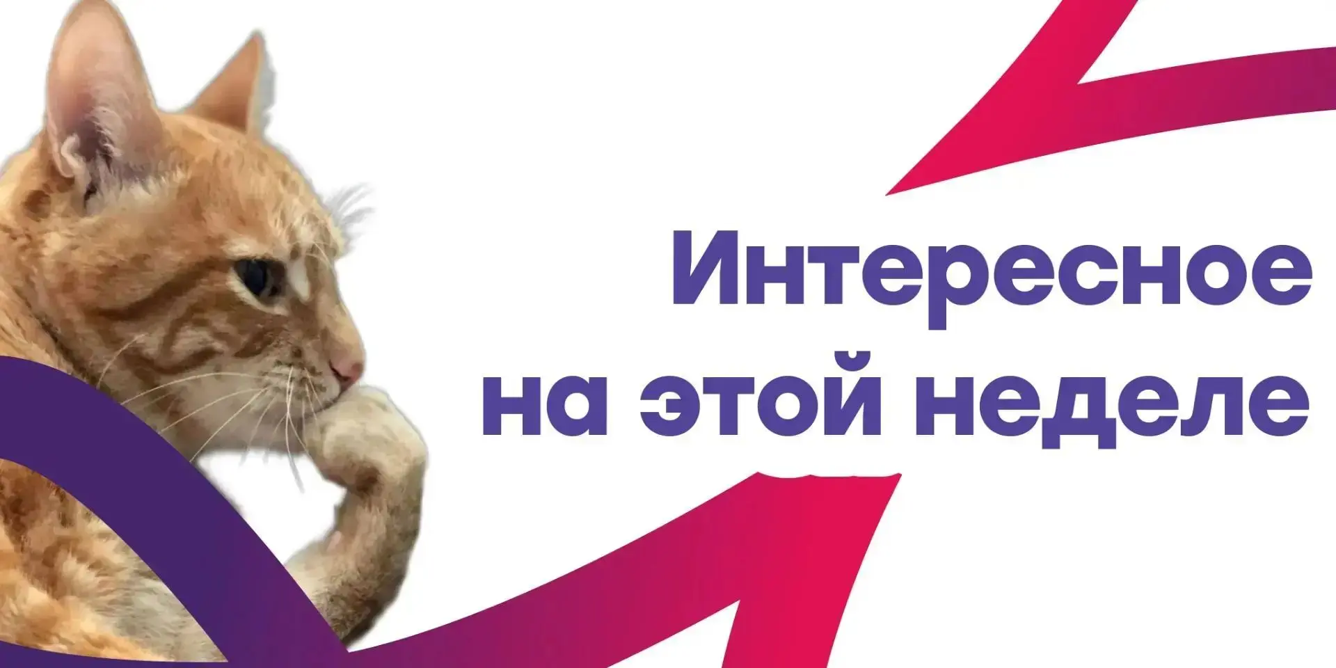 Любишь читать новости? Мы тоже! Делимся самым интересным за эту неделю ⬇️