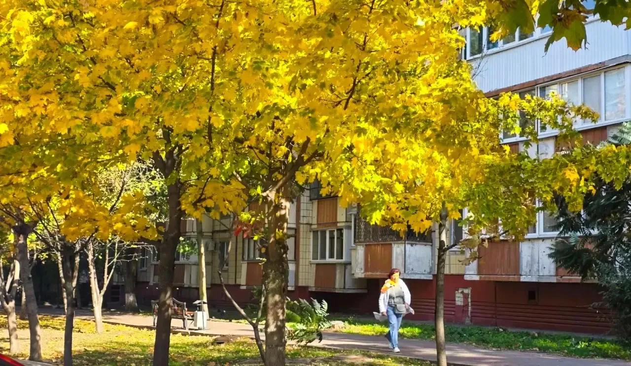 Осеннее настроение Белгорода 🍁