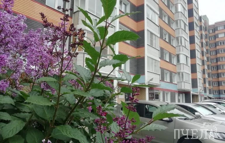 🚗 В центре Челябинска с 26 октября начнут действовать платные парковки. Всего предусмо...