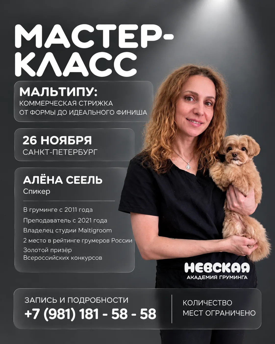 Мальтипу: коммерческая стрижка от формы до идеального финиша 🐶✂️