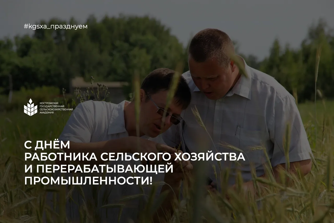 С праздником людей, обеспечивающих свободу государства!