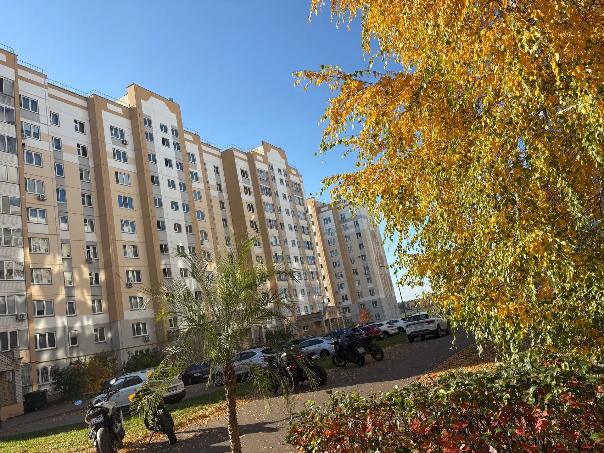Тропическая осень в Нижнекамске ☀️🌴🥥🔥