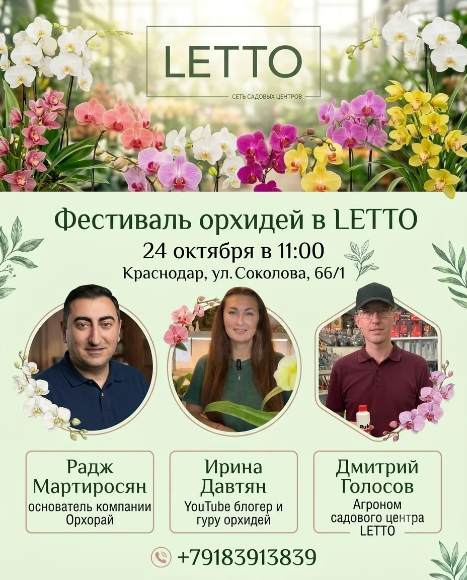 🌸 Фестиваль орхидей в LETTO — не пропустите!