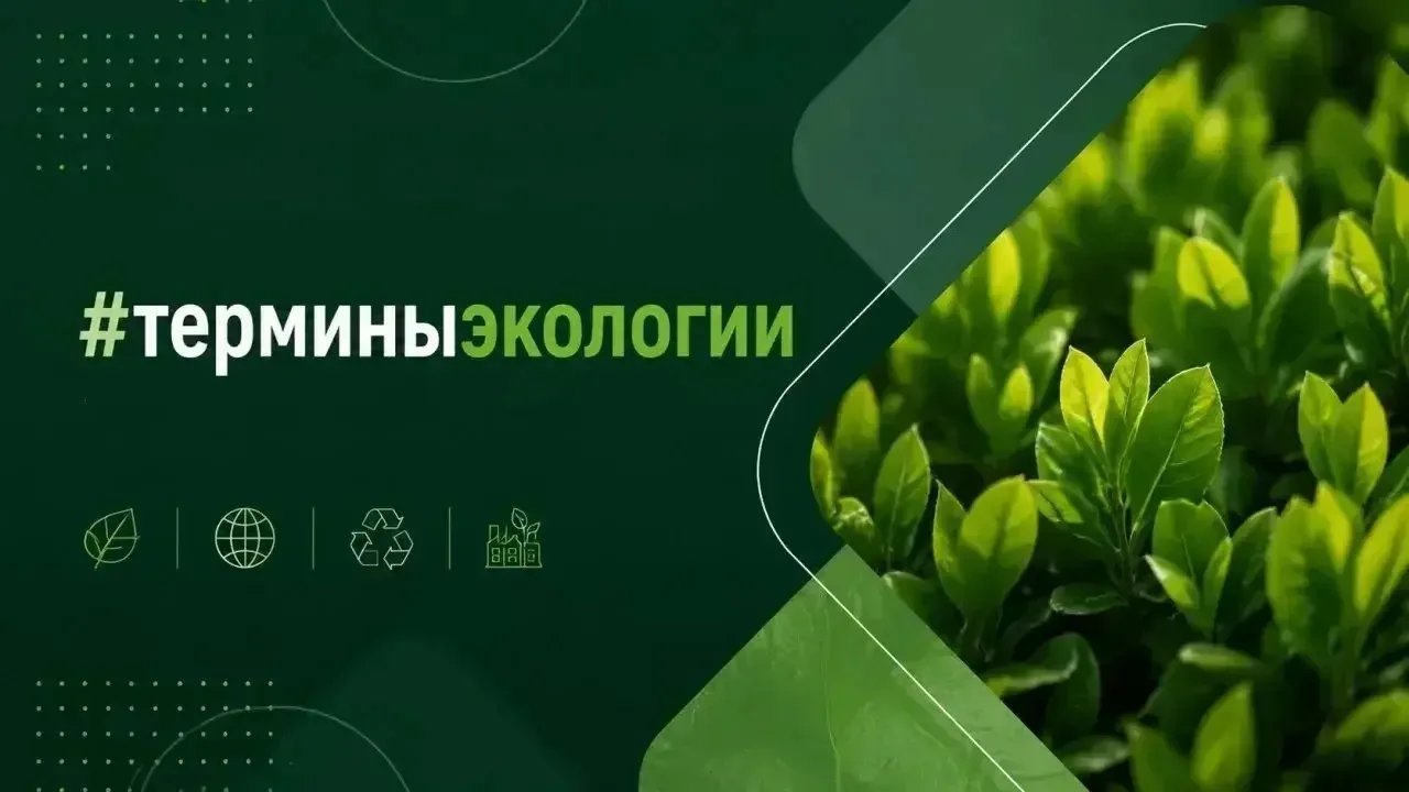 Что такое рекультивация земель❓