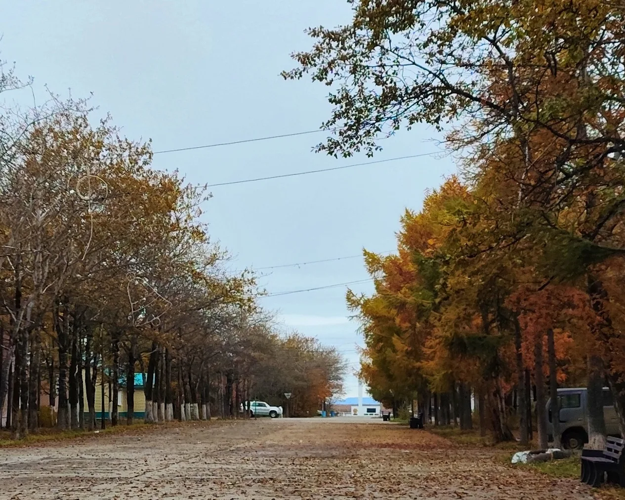 До того, как переехала в Черёмушки в Хакасии, не понимала за что любят осень. Тогда мне...