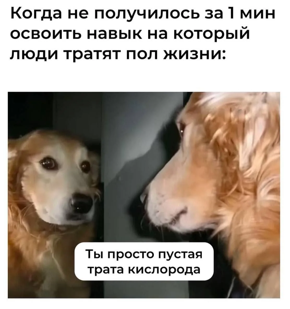 Если вы сильная, могу всё сама, домашние привыкли на вас рассчитывать (потому что вы ло...