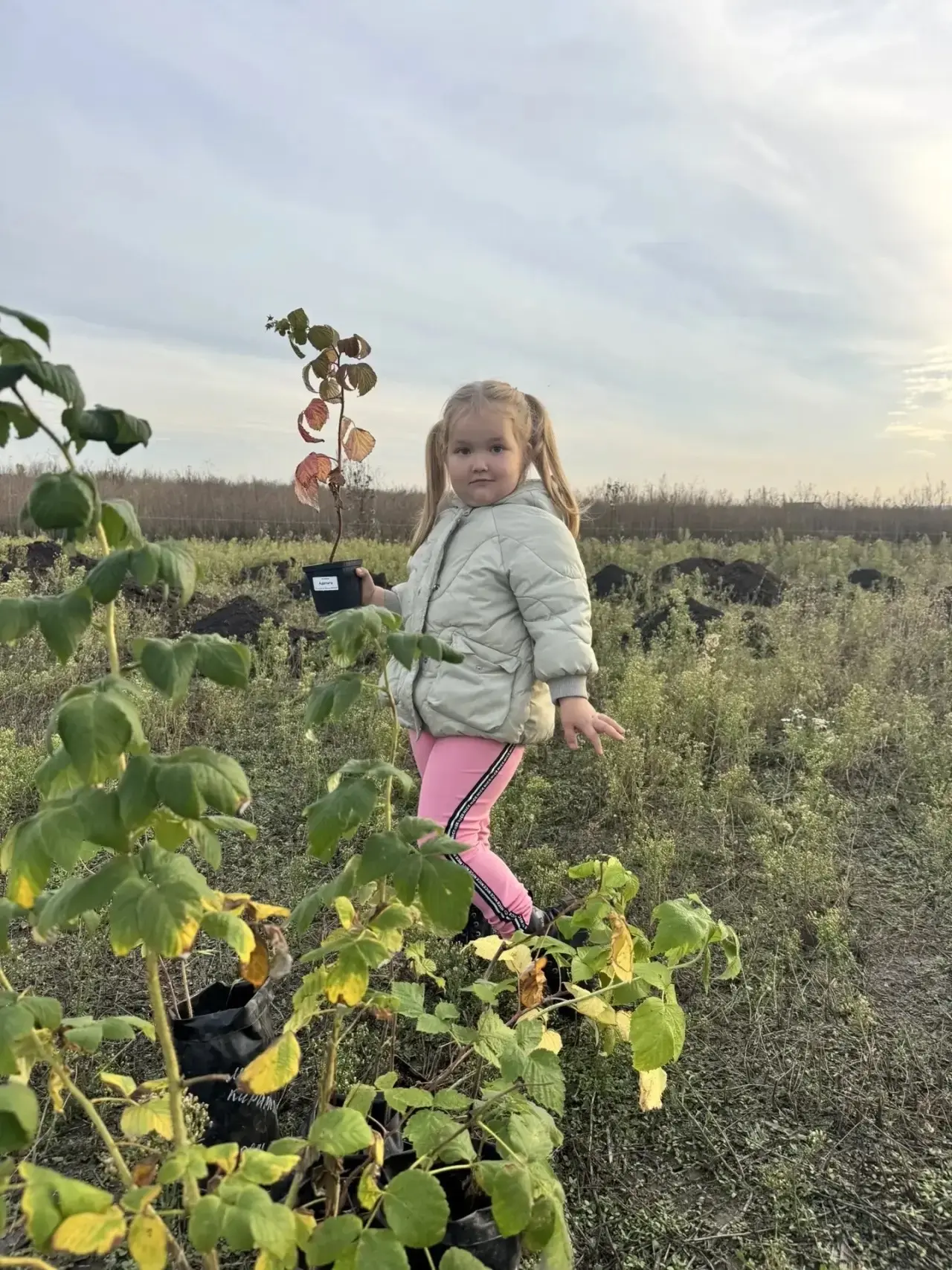 🌳 Маленький шаг — большое дело! 🌱
