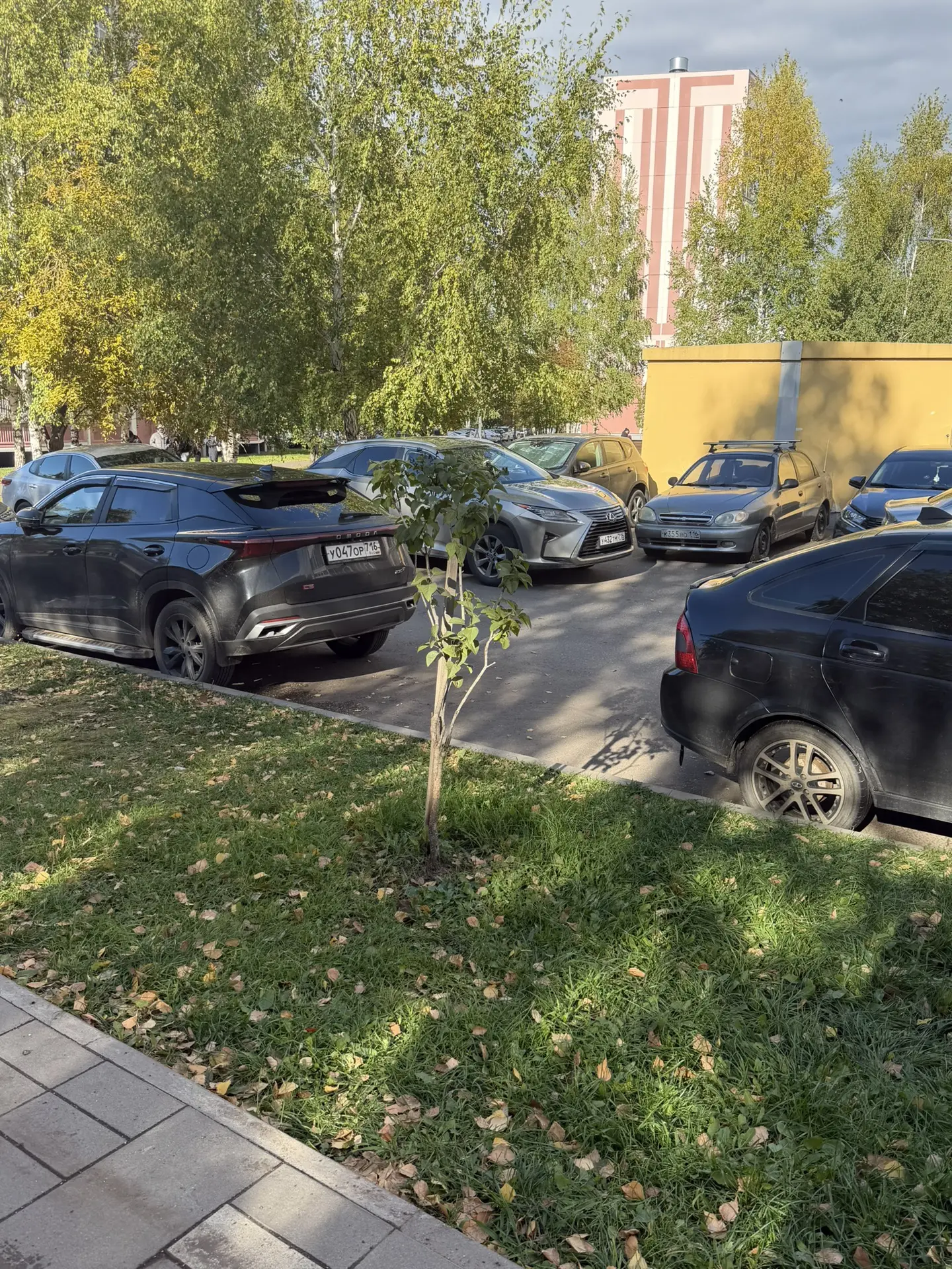 Опубликуйте пожалуйста.