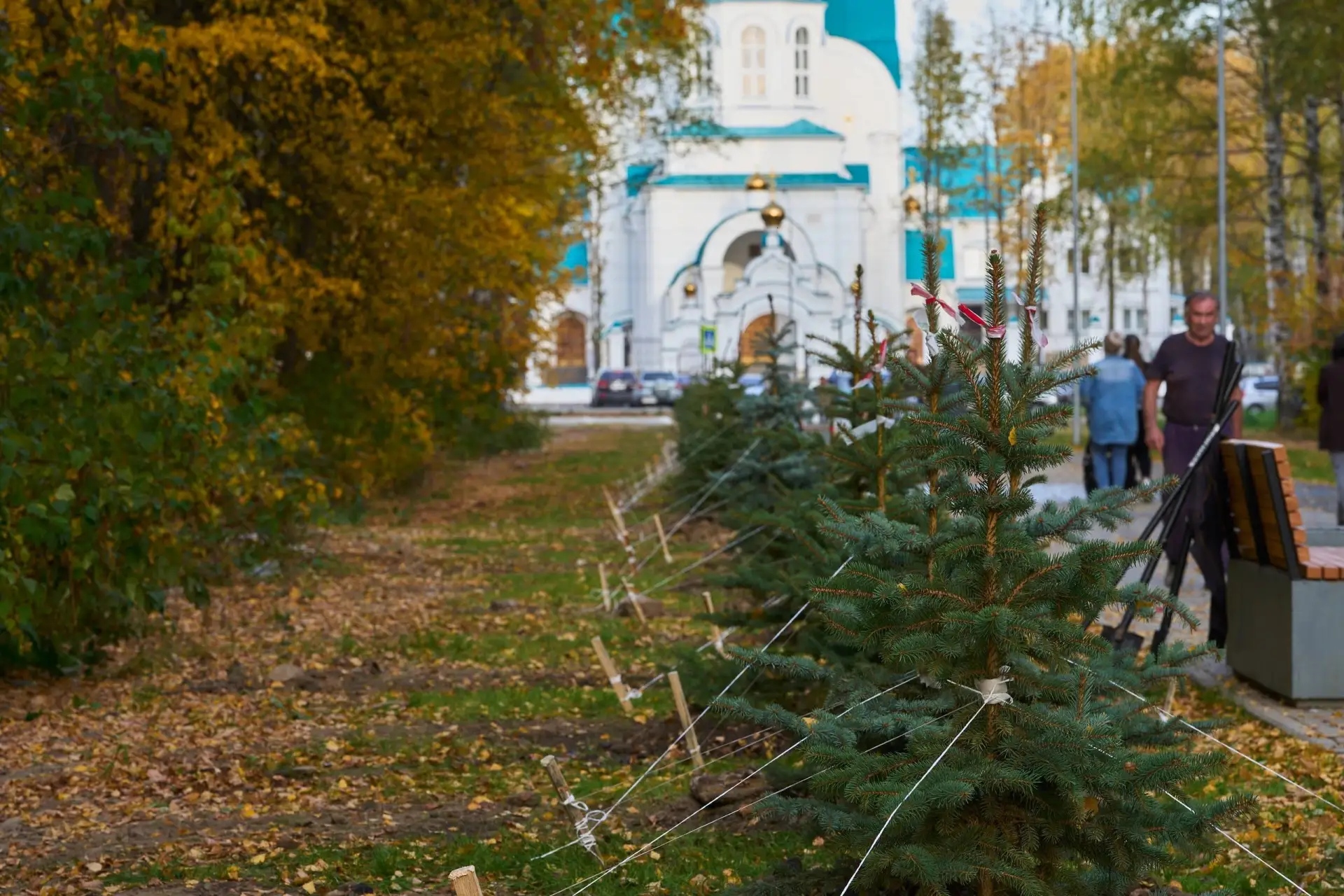День рождения Тархановского парка