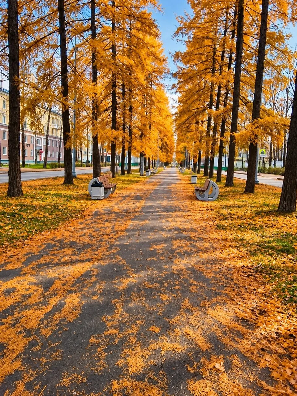 Осенняя красота😍