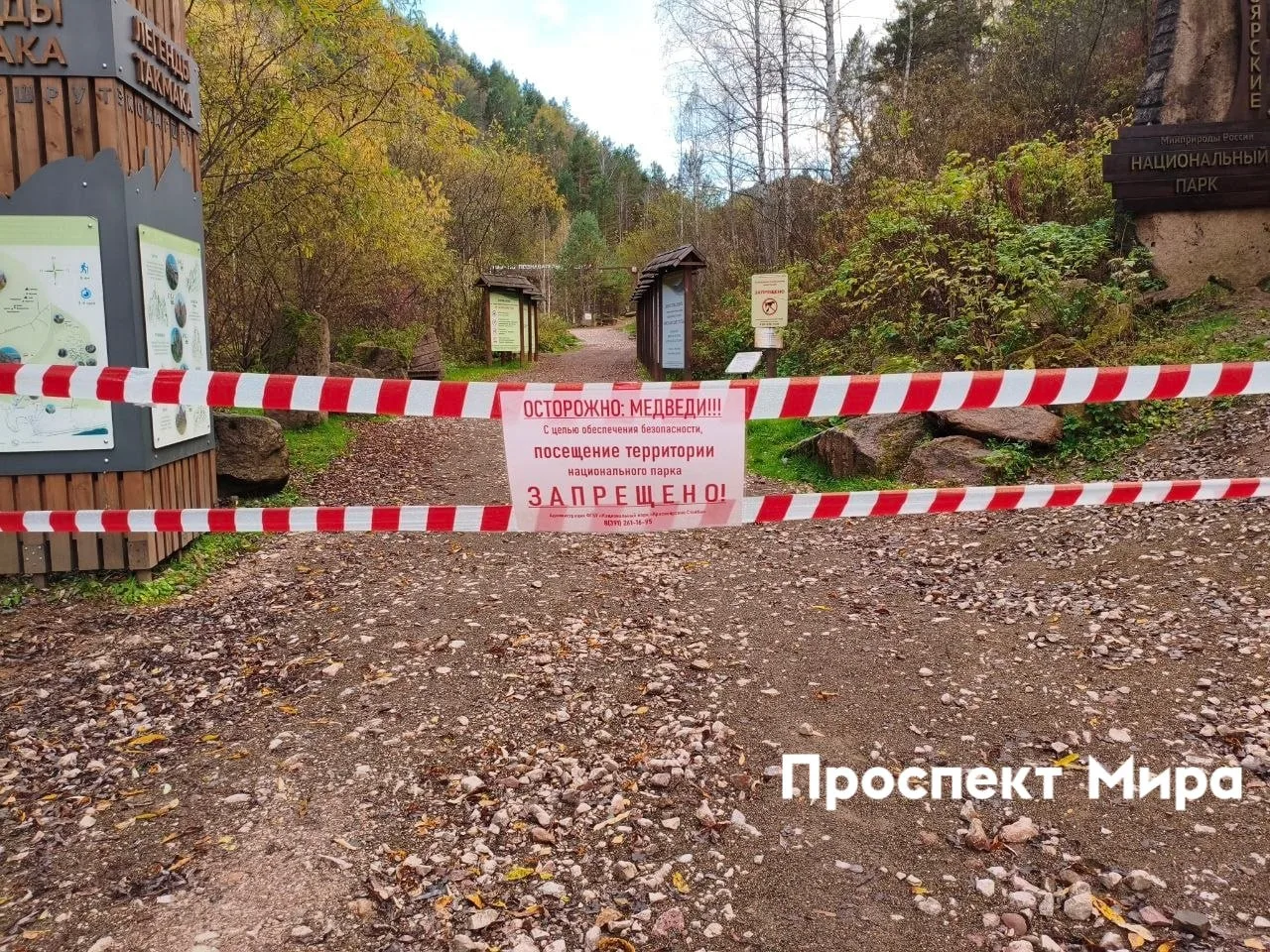 Запрет на посещение «Столбов» продлили почти на месяц из-за медведей.