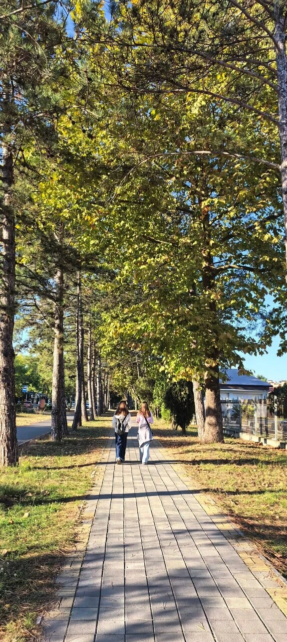 Осень на Пионерском проспекте 🍂