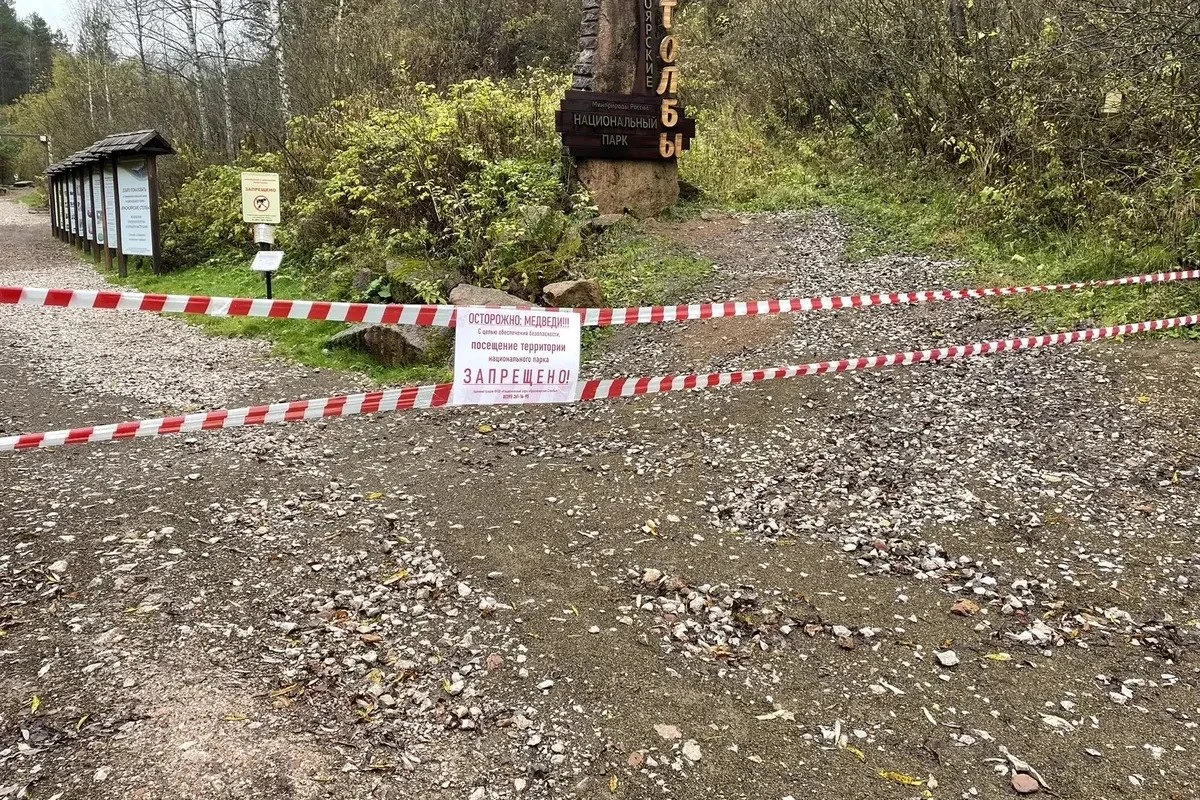 🚫 «Красноярские Столбы» остаются полностью закрытыми из-за медведей