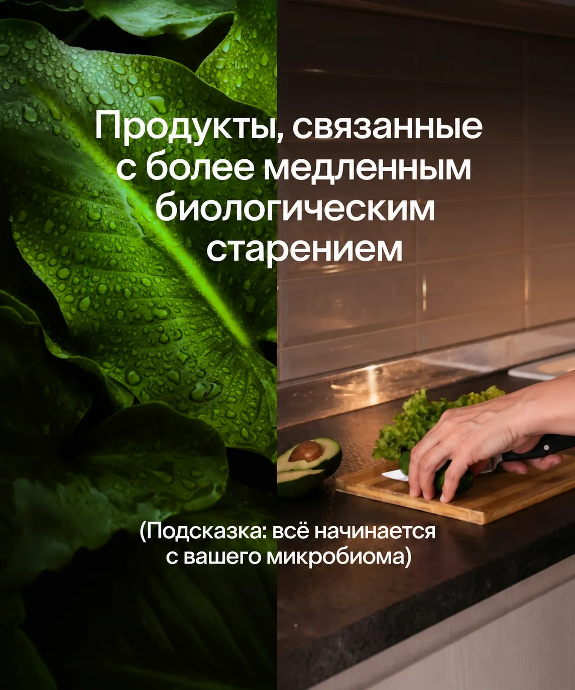Продукты для замедления старения