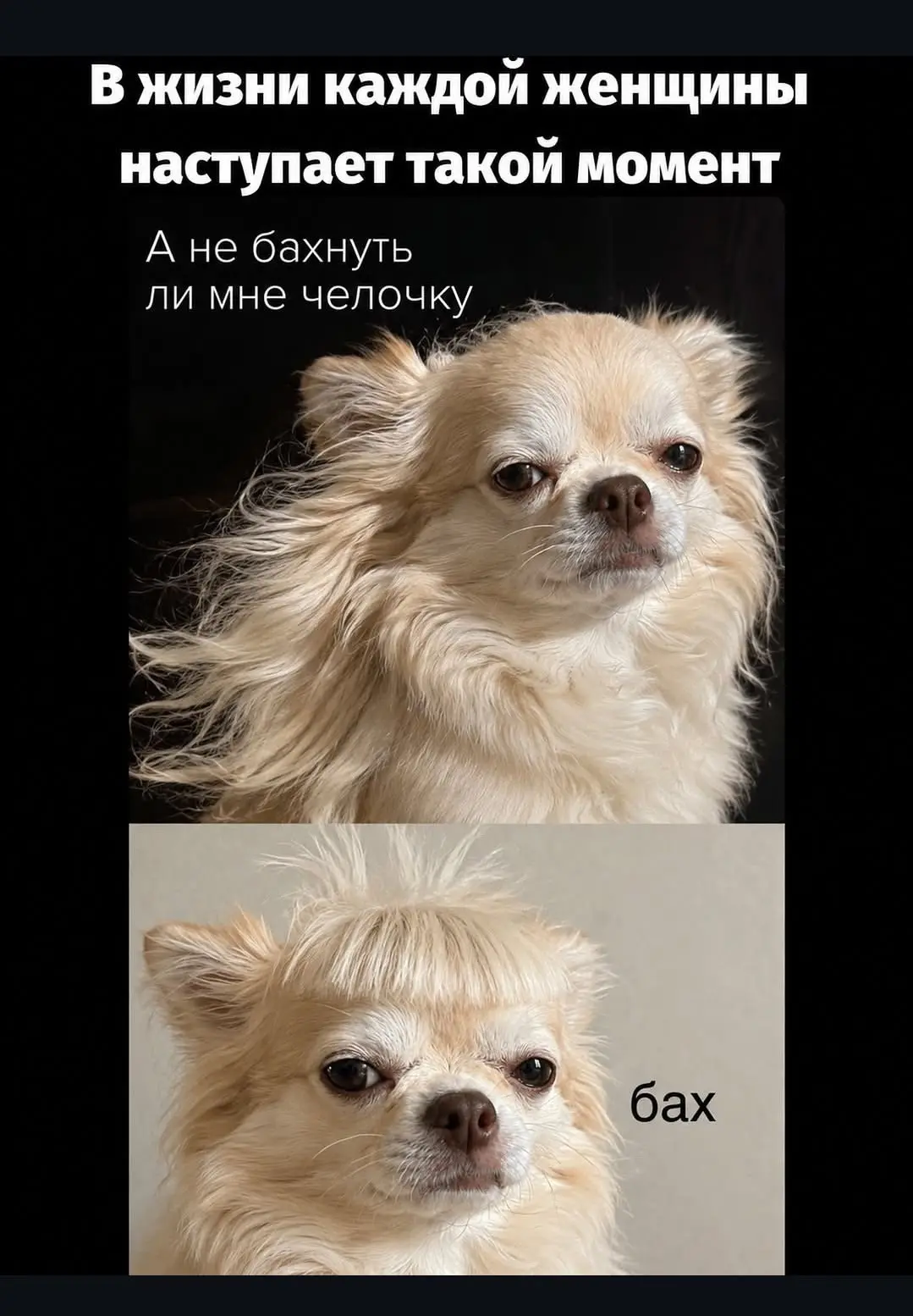 😁😁😁