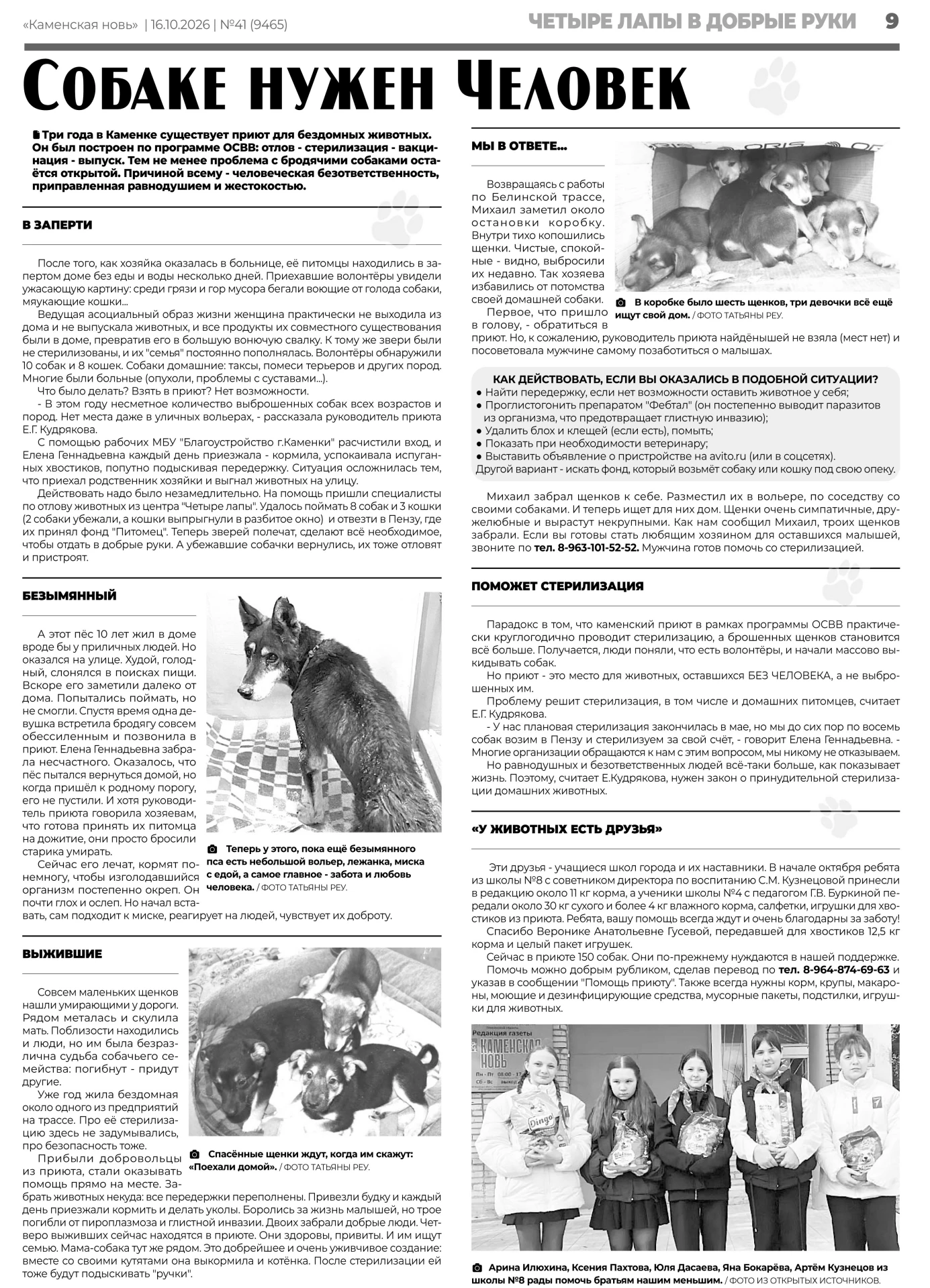 Друзья, новости из жизни Каменского приюта для бездомных животных читайте в свежем номе...