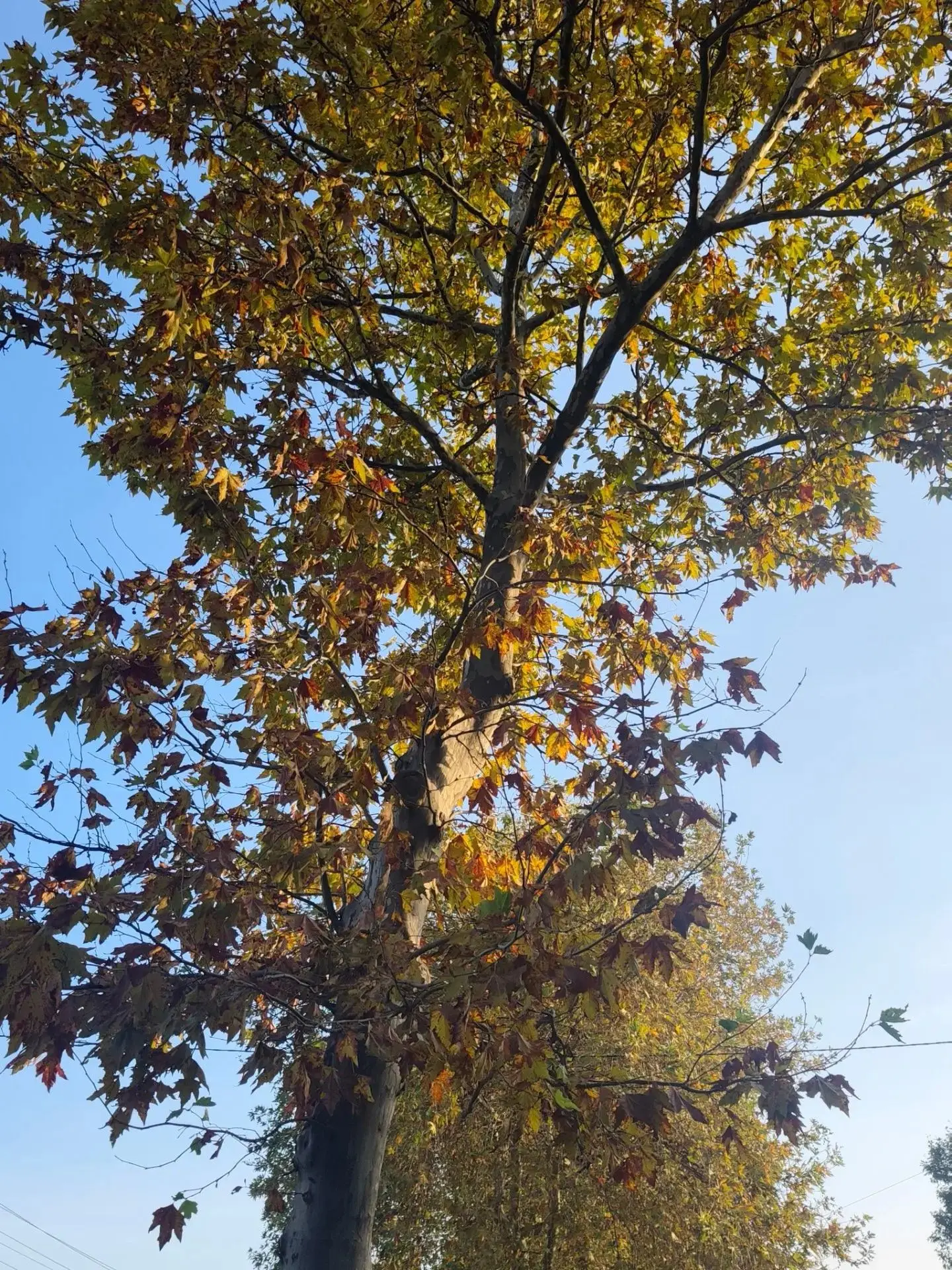 🍁 Доброе утро, Темрюкский район! Всем хорошего дня и настроения!