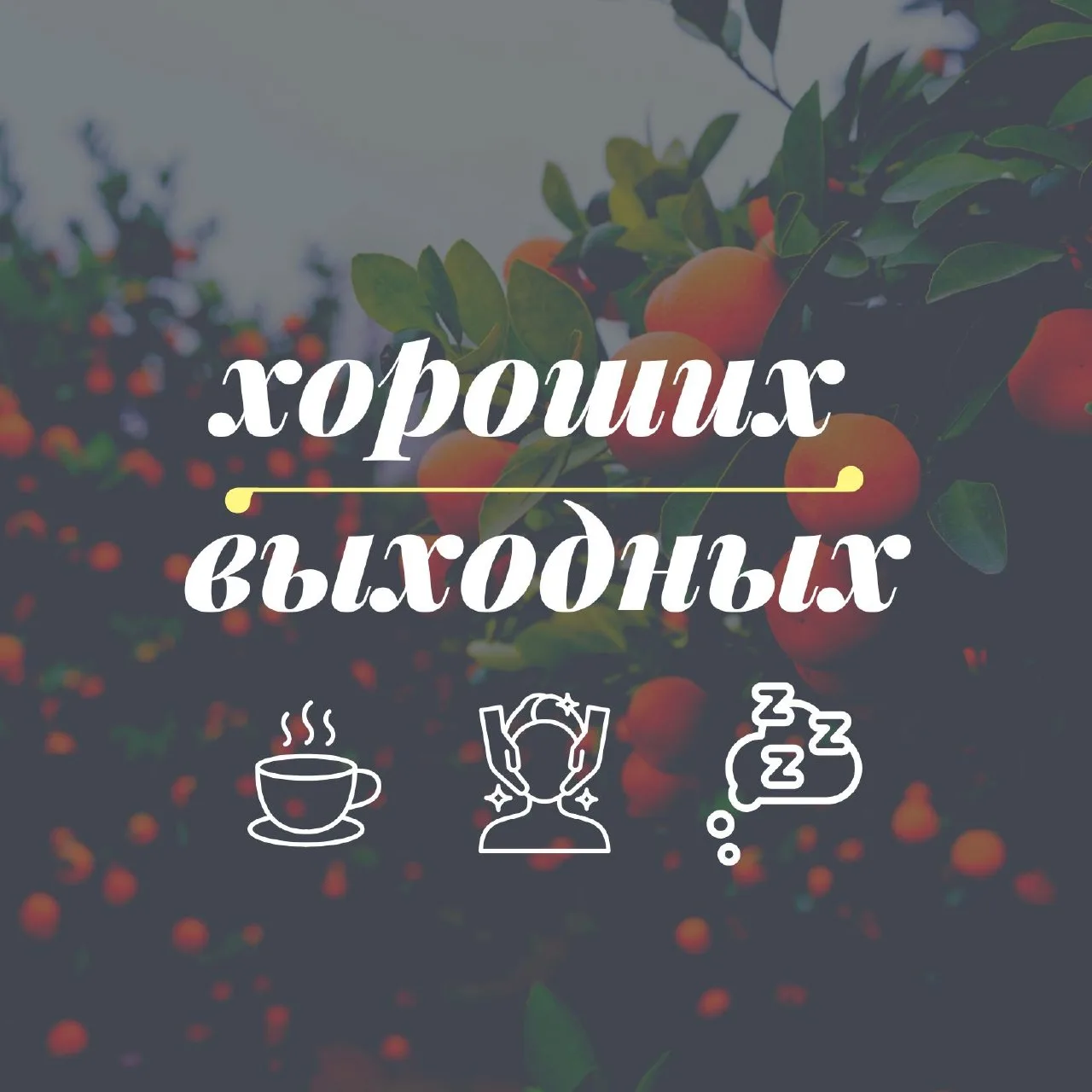 Хороших выходных, коллеги!