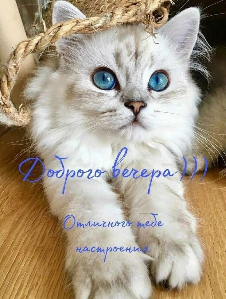 КРАСИВЫЕ ОТКРЫТКИ ТУТ💖