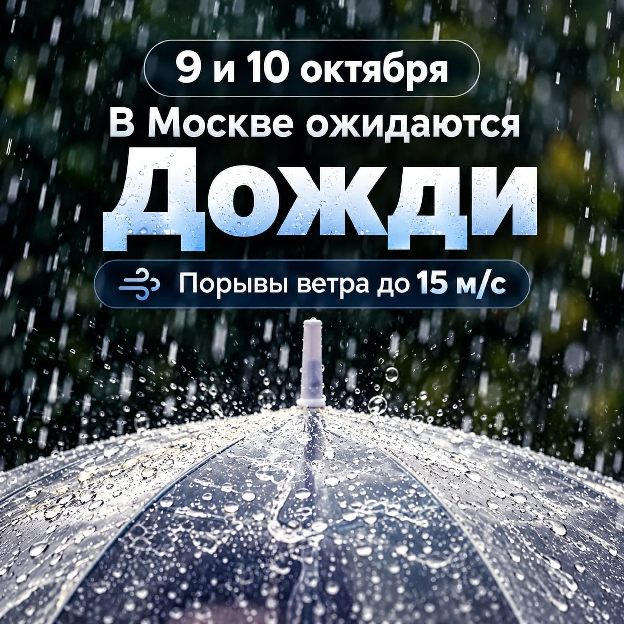 Погода резко переиграла сценарий 🌞