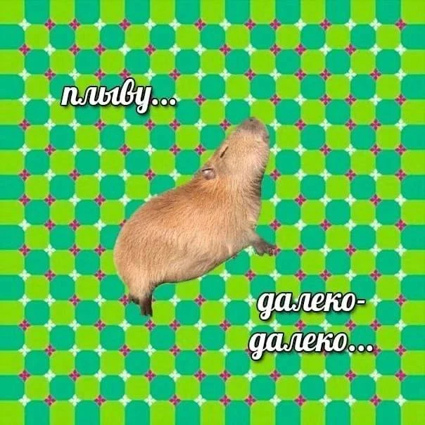 Всем ночь!)