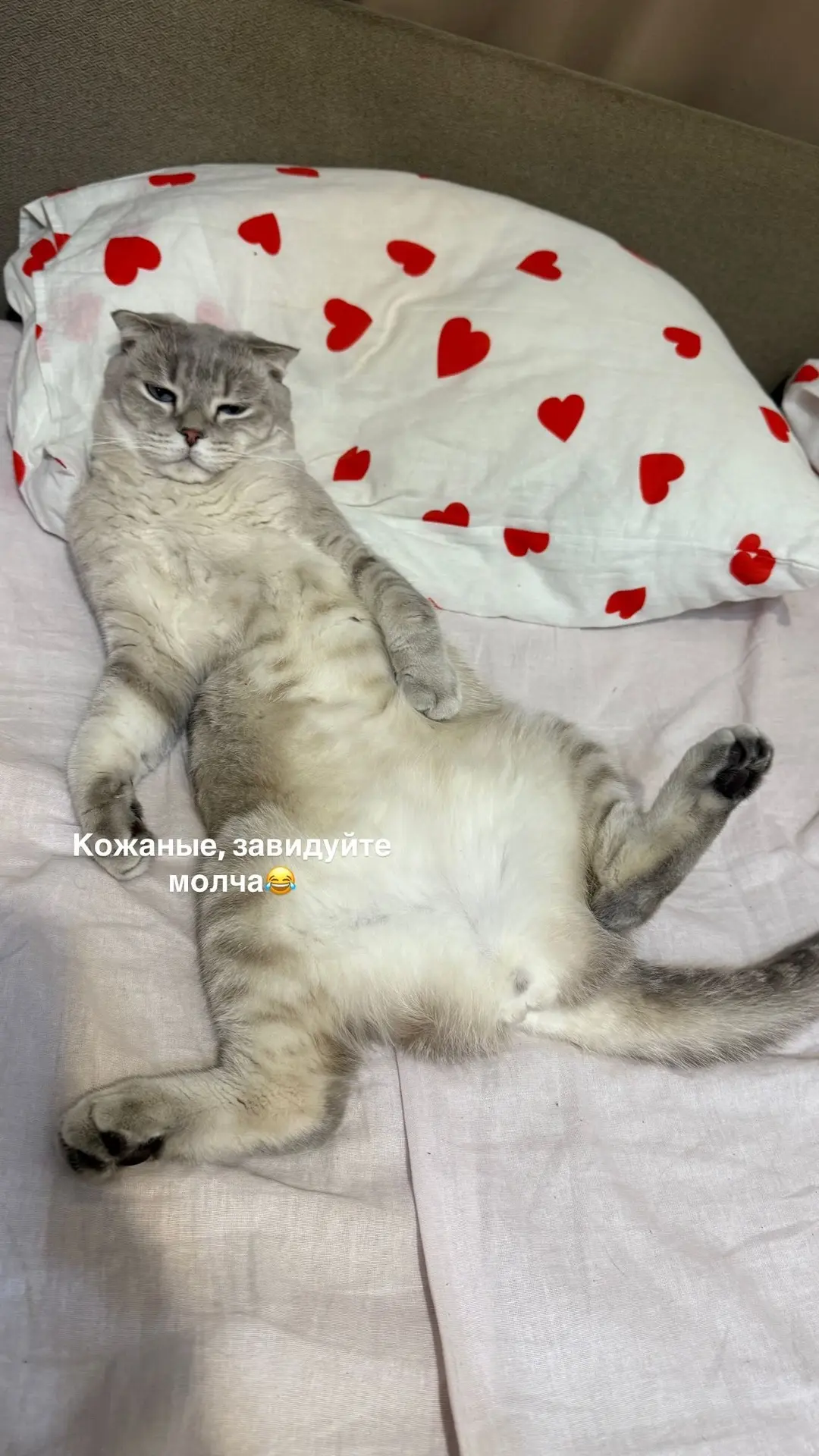 Отдыхаем❤️