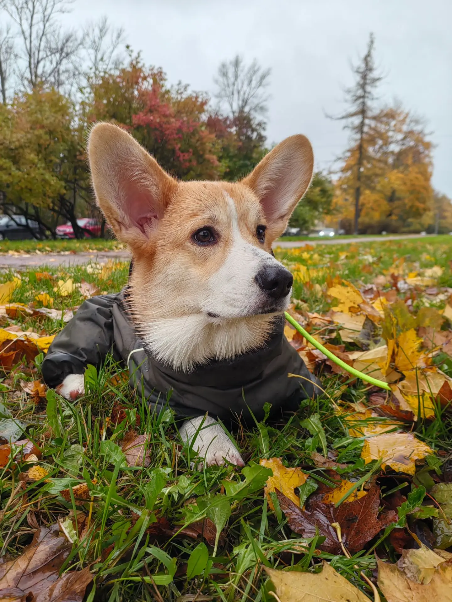 Шуршим 🍂с мамулькой❤️