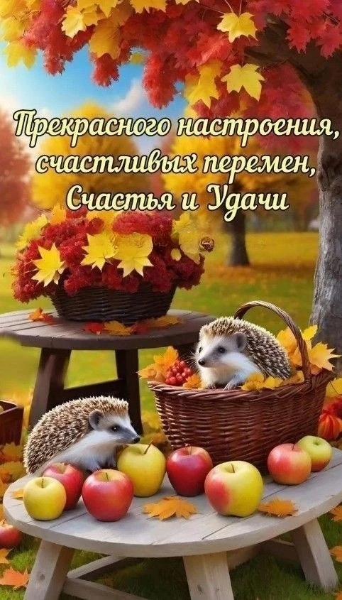@pozdraf