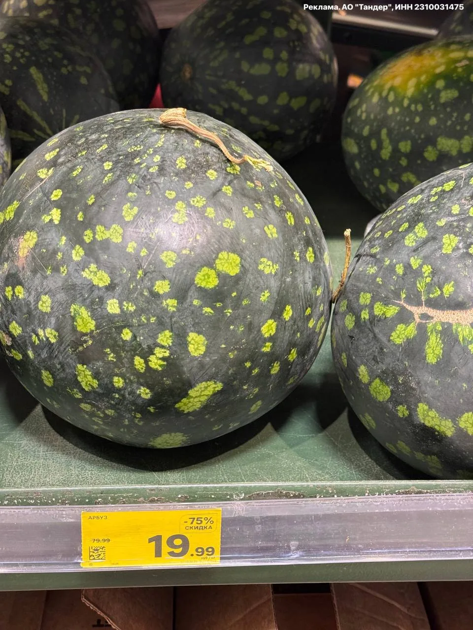 🛒Арбузы в Магните