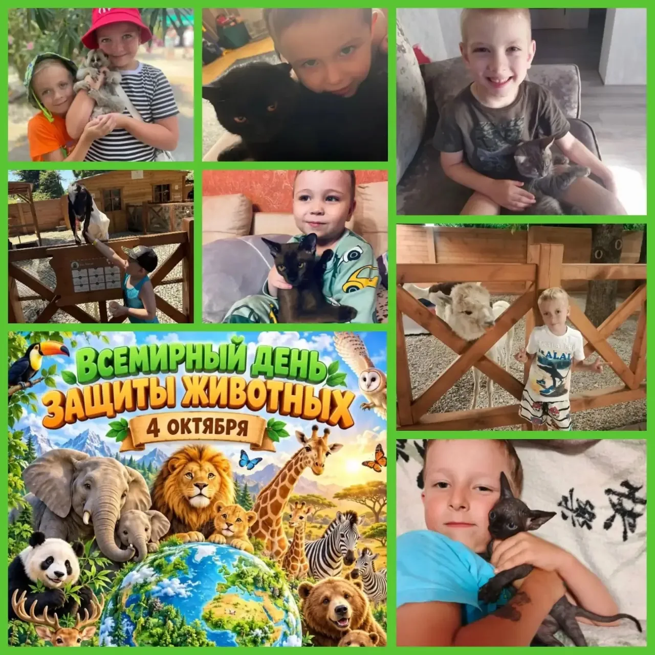 🤍4 октября — Всемирный день защиты животных! 🐾