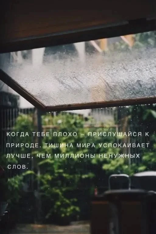 ЗЛОЙ Психолог
