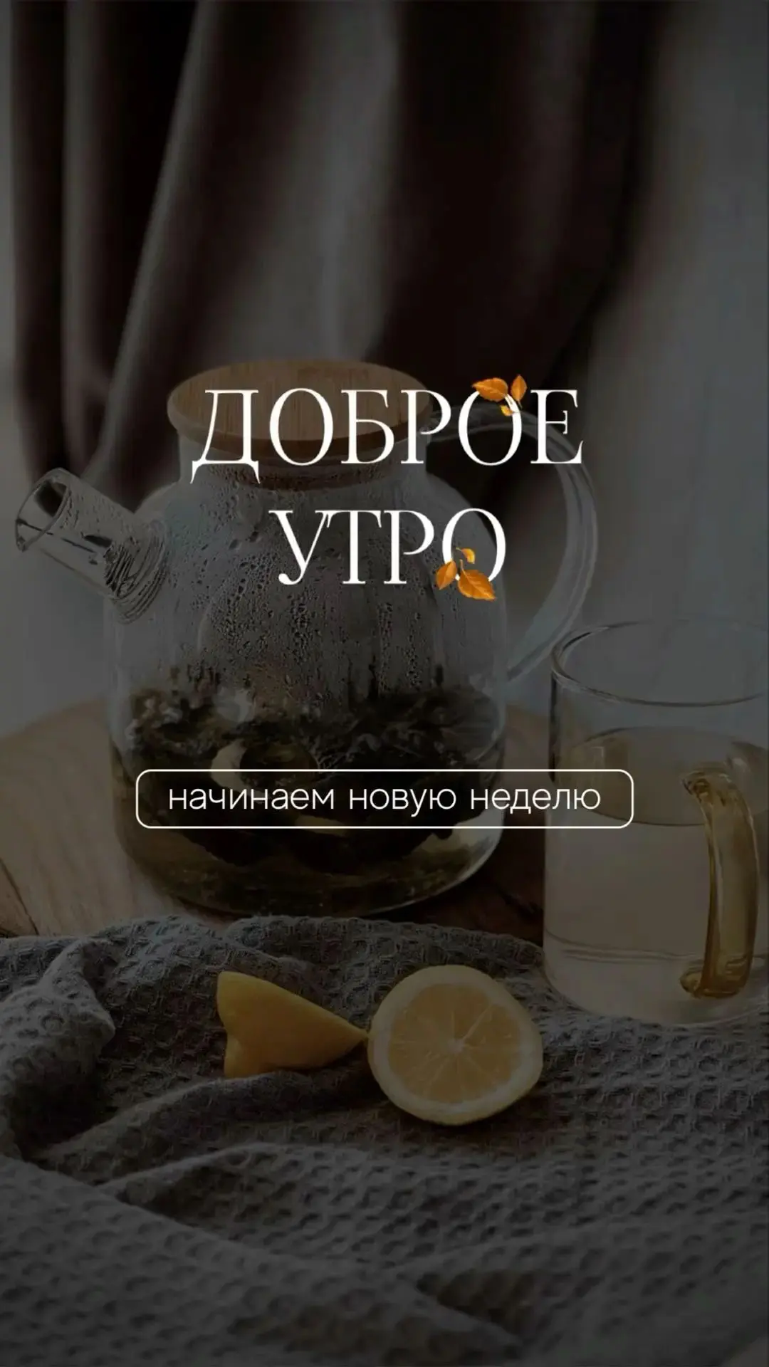 Доброе начало недели!!! Пусть она пройдет красиво🫶