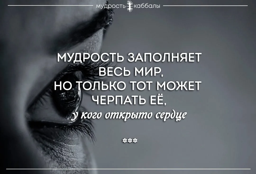 #мудрость #сердце #мир